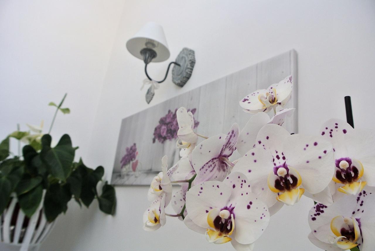 Bed and Breakfast Almasol Кассано-делле-Мурдже Экстерьер фото